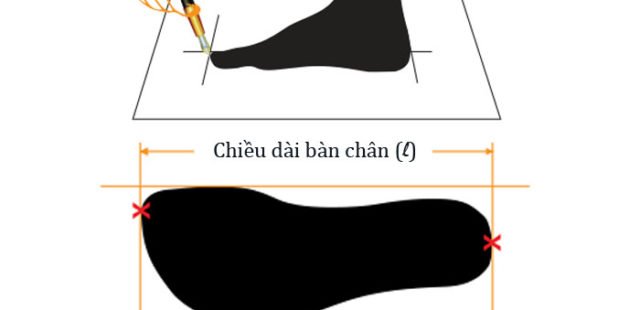 Hướng Dẫn Chọn Size Giày